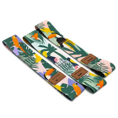 15. Spokey Home Jungle SPK-941536 Training Band Set