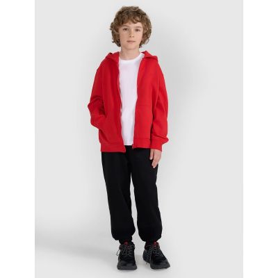 2. Boy's zip-up hoodie sweatshirt 4F 4FJRAW25TSWSM2488-62S