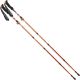 14. NORDIC WALKING TRIP POLES IN ENERO PRO CASE