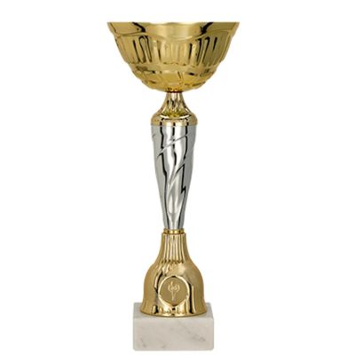 Gold and silver metal cup