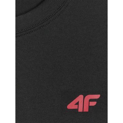 4. Regular men's T-shirt 4F 4FWMM00TTSHM3341-020S