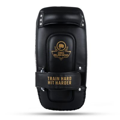 6. PAO Gold Thai Shields pair | ProFighter | DBX Bushido