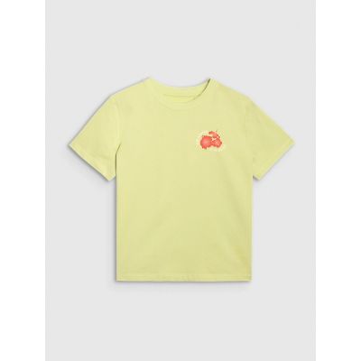 4. Women's oversize printed T-shirt 4F 4FRSS25TTSHF3160-73S