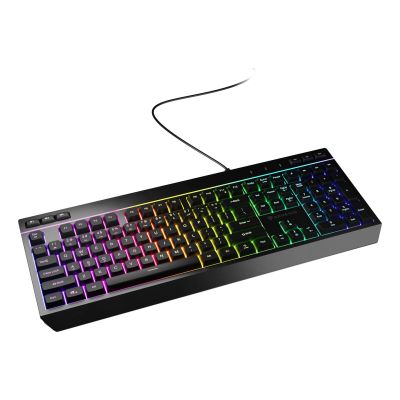 2. GENESIS Rhod 530 Gaming Keyboard USB QWERTY US English Black