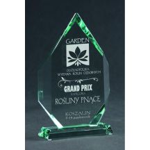 Engraved glass trophy with case