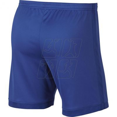 2. Nike Dry Academy M AJ9994-480 football shorts