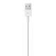 3. Apple Lightning to USB Cable (2m) MD819ZM/A