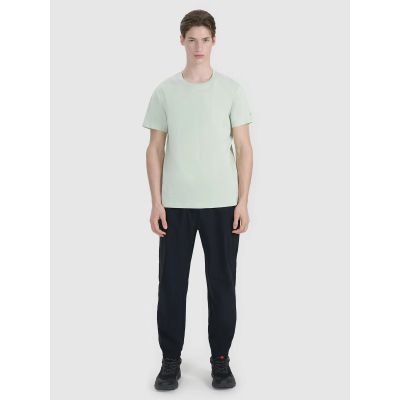 5. Men's regular printed T-shirt 4F 4FWSS25TTSHM2239-47S