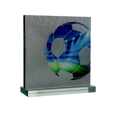 5. Glass Trophy with Case