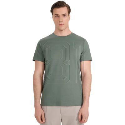 Men's T-shirt 4F M2441 green 4FWAW25TTSHM2441 41S