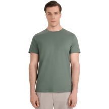 Men's T-shirt 4F M2441 green 4FWAW25TTSHM2441 41S