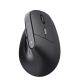 3. TRUST BAYO II ERGONOMIC WIRELESS MOUSE BLK (25145)
