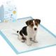 7. HYGIENIC TRAINING PAD FOR DOGS 20 PCS DOGS COLLECTION