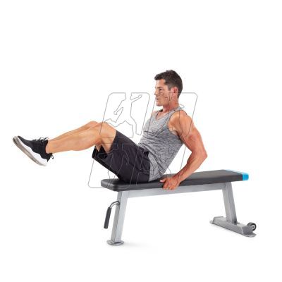 10. Proform Carbon Strength PFBE09620 horizontal bench