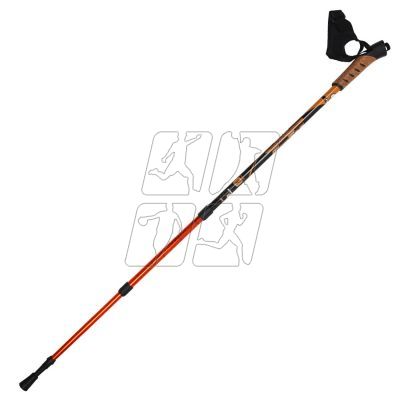 3. Trekking stick SM3-B12/C3