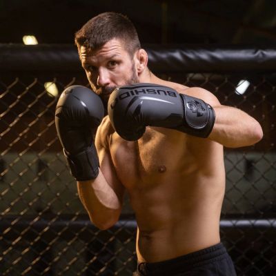 3. 10oz Boxing Gloves - Raptor - Origin Series