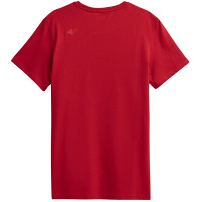 10. T-shirt 4F M H4Z22 TSM352 62S