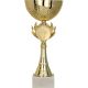 3. Gold metal cup