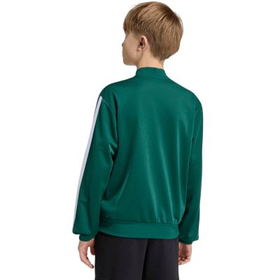 5. adidas Essentials Climacool Green Kids' Sweatshirt KR2147