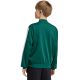 5. adidas Essentials Climacool Green Kids' Sweatshirt KR2147