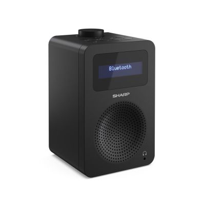 3. Sharp DR-430 Personal Digital Black