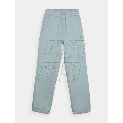 Trousers 4F W 4FWAW24TTROF0819-47S