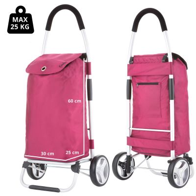 17. Classic Premium Shopping Cart 604319