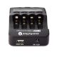 2. everActive NC1000 Charger (No data)