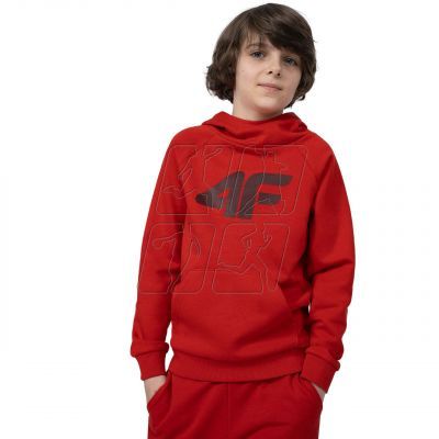 4. Sweatshirt 4F Jr. 4FJSS23TSWSM220 62S