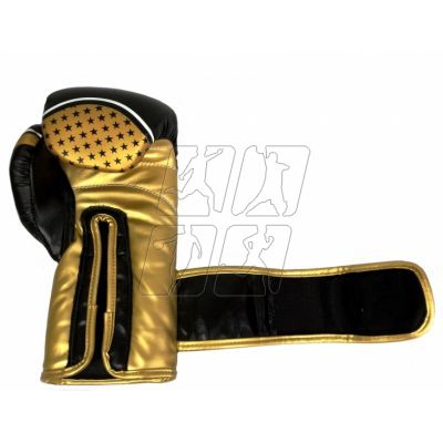 2. Masters RPU-10 boxing gloves 0116-10
