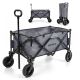 32. Meteor 16906 foldable transport trolley