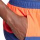 6. Adidas Colorblock CLX M shorts IT8597