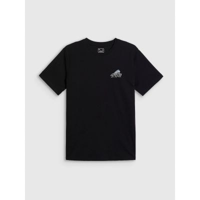4. Men's regular printed T-shirt 4F 4FRSS26TTSHM4299-20S