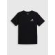 4. Men's regular printed T-shirt 4F 4FRSS26TTSHM4299-20S