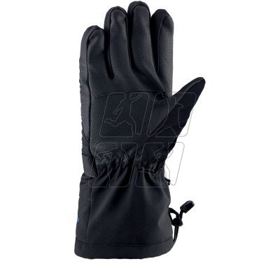 2. Viking Bormio Ski Man Gloves 110/20/4098/08