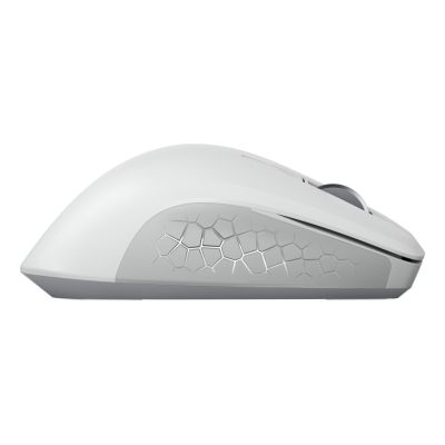 6. CHERRY JW-8550-0 mouse Universal Right-hand RF Wireless Optical 4000 DPI