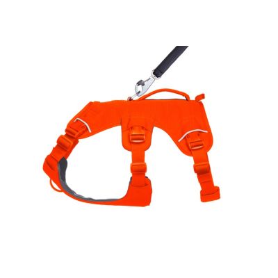 3. Ruffwear Web Master Harness - Blaze Orange, Size: M