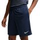Nike Dri-Fit Park 26 Men's Shorts Navy Blue HM7146 410