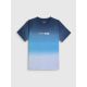 5. Men's regular printed T-shirt 4F 4FRSS26TTSHM3995-31S