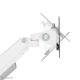 14. Neomounts DS70-250WH1 Monitor Holder/Stand 88.9 cm (35") Desk White