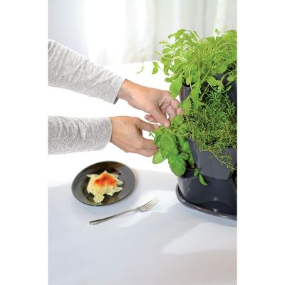 32. VERICAL GARDEN CASCADE HERB POT - GRAPHITE
