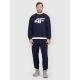 3. Men's jogger sweatpants 4F 4FRMM00TTROM1624-31S