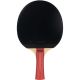 10. JOOLA TEAM JUNIOR TABLE TENNIS RACKET