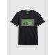 7. Men's regular printed T-shirt 4F 4FRAW25TTSHM3612-20S