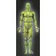 3. Select T26-11545 knee compression sleeve