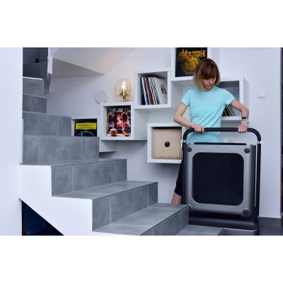 111. Kingsmith WalkingPad TRR1F R1 Sports Treadmill