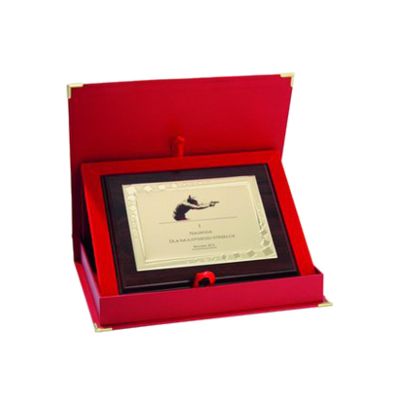 9. Plastic diploma with engraved metal plate + case