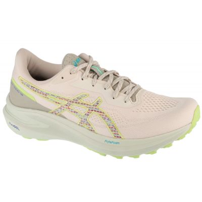 Asics GT-1000 13 TR M 1011C043-300 shoes