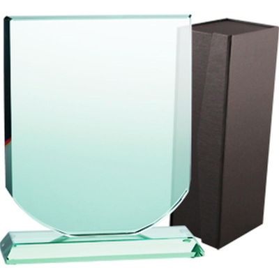 3. Glass trophy with case