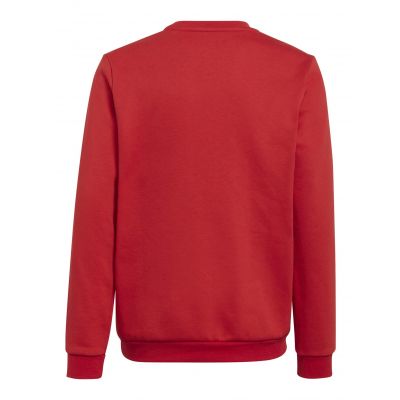 2. Adidas Entrada 22 Sweat Jr sweatshirt H57473
